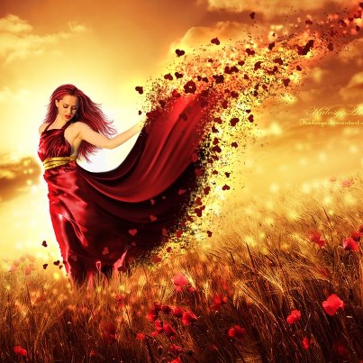 Je donne allègrement tout mon amour