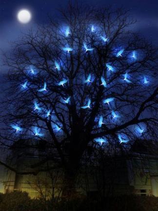 Au-delà des apparences