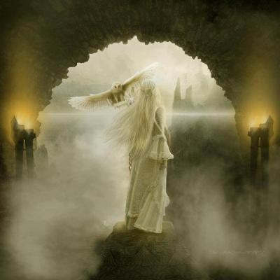 Le miracle est arrivé