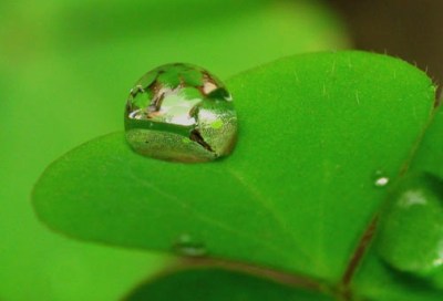 Accueillir le présent