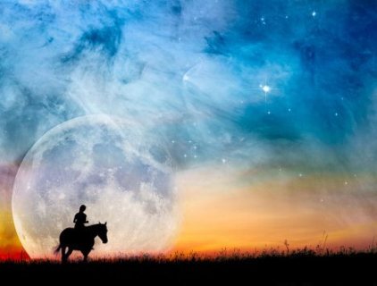 Ma tête est un cheval