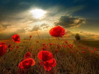 La magie de la persévérance