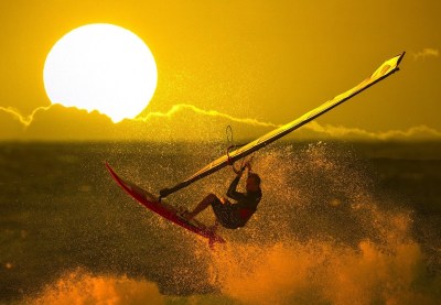 Tout ce qui nous pousse