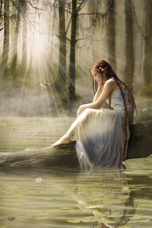 Réflexion par Lardacil