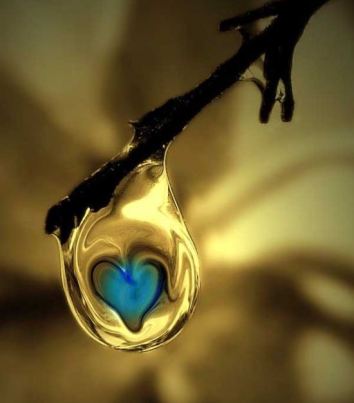 ???????????????????????????????