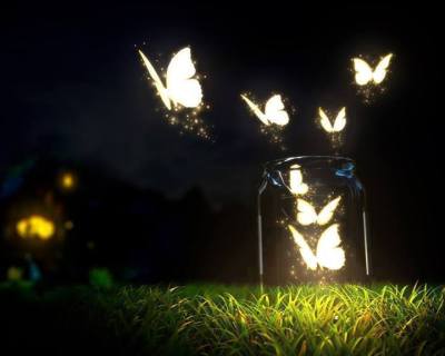 Papillons lumineux la nuit