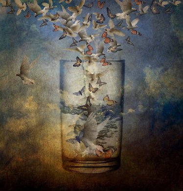 Glass always half full Anji Johnston