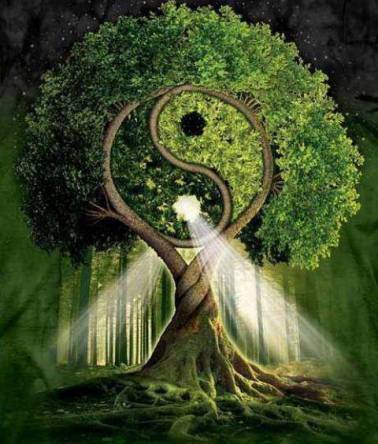 Bénis contraires complémentaires