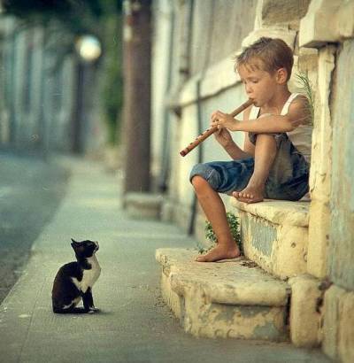 Enfant à la flûte et chaton