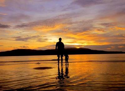 Matière et lumière