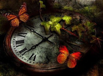 Horloge coeur papillons