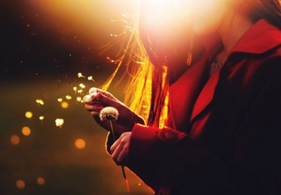 Pissenlit soleil rouge