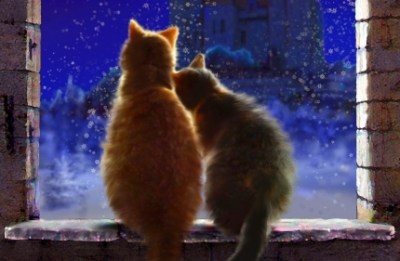 Chats magie rencontre