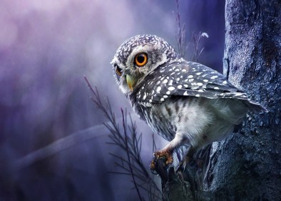 Coupable seul capable