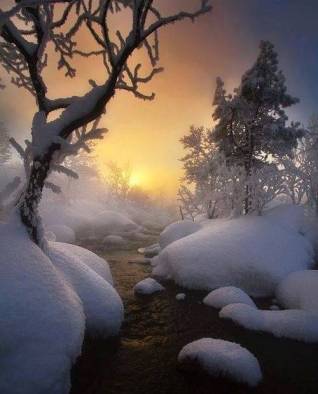 Soleil couchant dans la neige