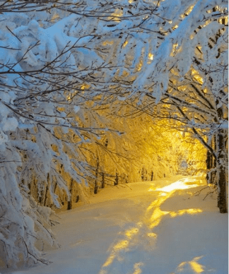 Sentier neige soleil