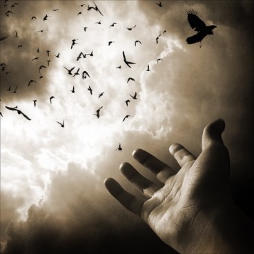 Flying_away_by_Falkone