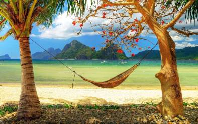 Hamac miracle vacances