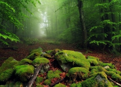 la_magie_d__ayguebonne_by_lavaspawn-d2pwwbk