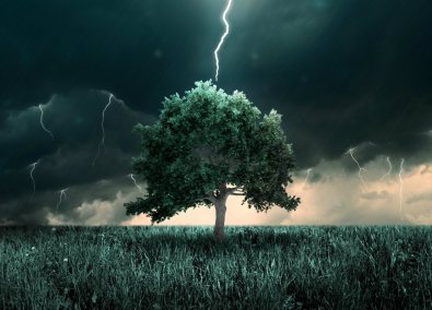 tree-lightning-ss-1920