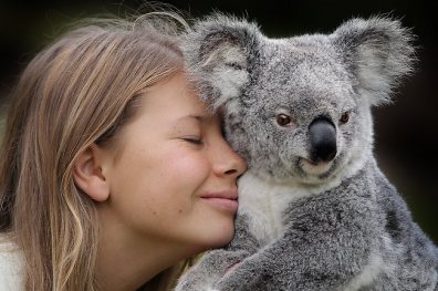Animal-bindi-irwin