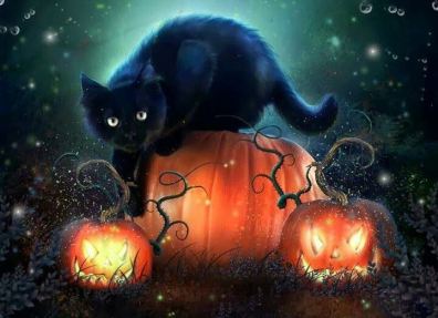 Chat noir Halloween