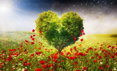 green_tree_of_love_skyphoenixx1_stars_heart
