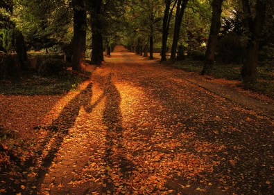 Couple mains ombre automne