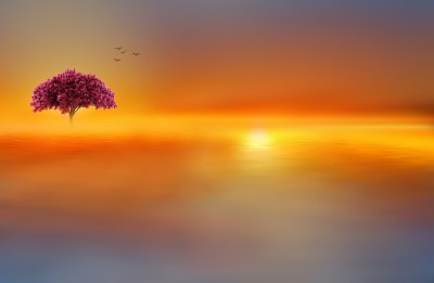 birds-fly-out-of-alone-tree-by-osep-Sumalla