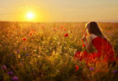 Femme champ coquelicots abondance