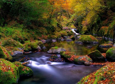 source-automne-magie