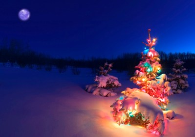Christmas tree glowing at night in snow, Alberta, Canada